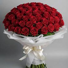 Букет 101 Красная роза Блэк Мэджик в Западной Двине