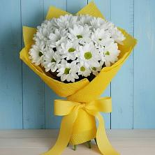 Букет цветов из:  Хризантемы в Западной Двине