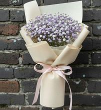 Букет цветов из:  Гипсофила #REPLACE_PRED# Западной Двине