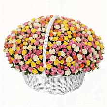 Премиум букет из: Розы #REPLACE_PRED# Западной Двине