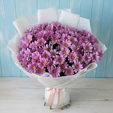 Букет цветов из:  Хризантемы #REPLACE_PRED# Западной Двине