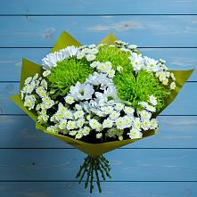 Букет цветов из:  Хризантемы #REPLACE_PRED# Западной Двине