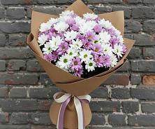 Букет цветов из:  Хризантемы в Западной Двине