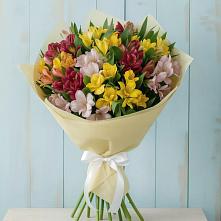 Букет цветов из:  Альстромерии в Западной Двине