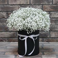 Цветочная композиция из Гипсофила в шляпной коробке в Западной Двине
