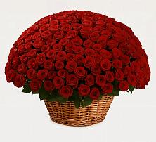 Премиум букет из: Розы в Западной Двине