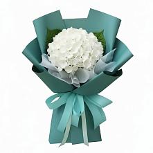Букет цветов из:  Гортензия #REPLACE_PRED# Западной Двине